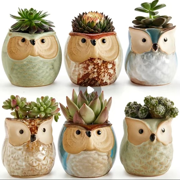 6 pcs/set Ceramic Owl Pots - Picture 1 of 7